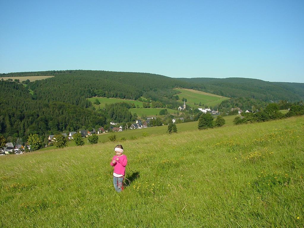 Ferienwohnung Erzhütte Rechenberg-Bienenmühle Exterior foto